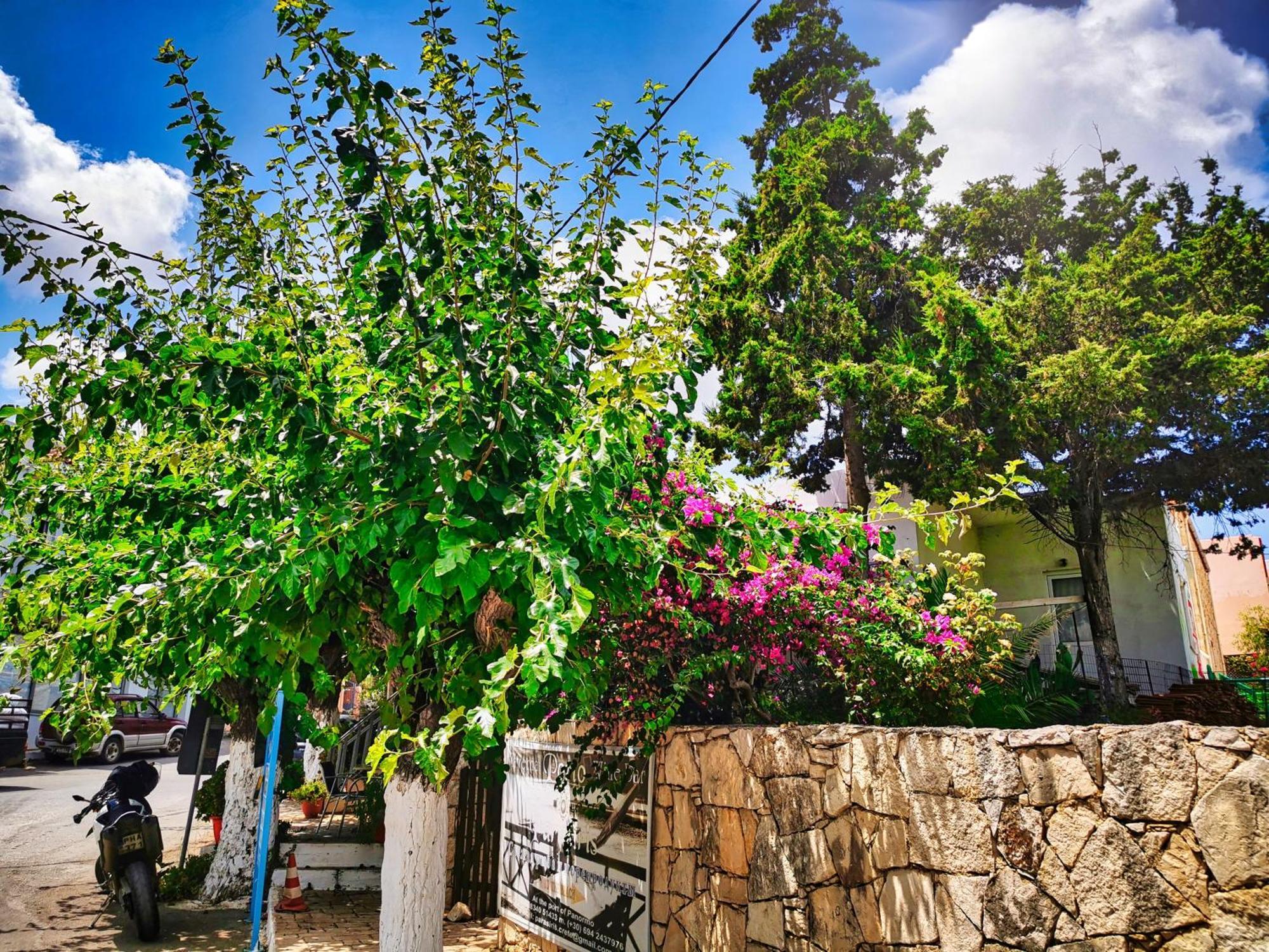 Phaos Residence, Your Stylish Crete Retreat Panormos  Экстерьер фото